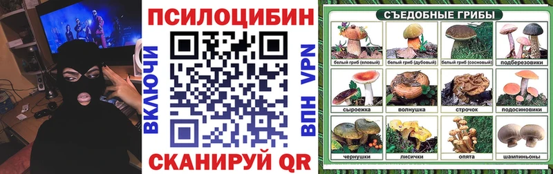 Галлюциногенные грибы мицелий  наркота  kraken ссылки  Новоуральск 