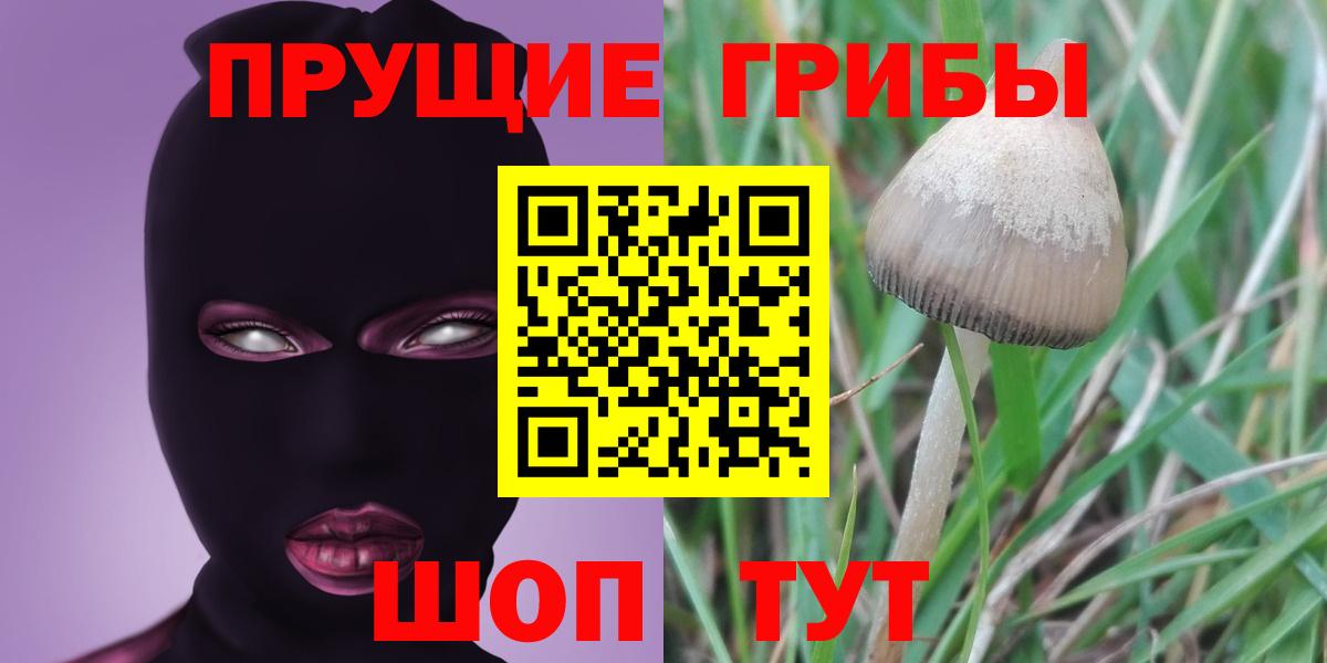 Галлюциногенные грибы прущие грибы Новоуральск